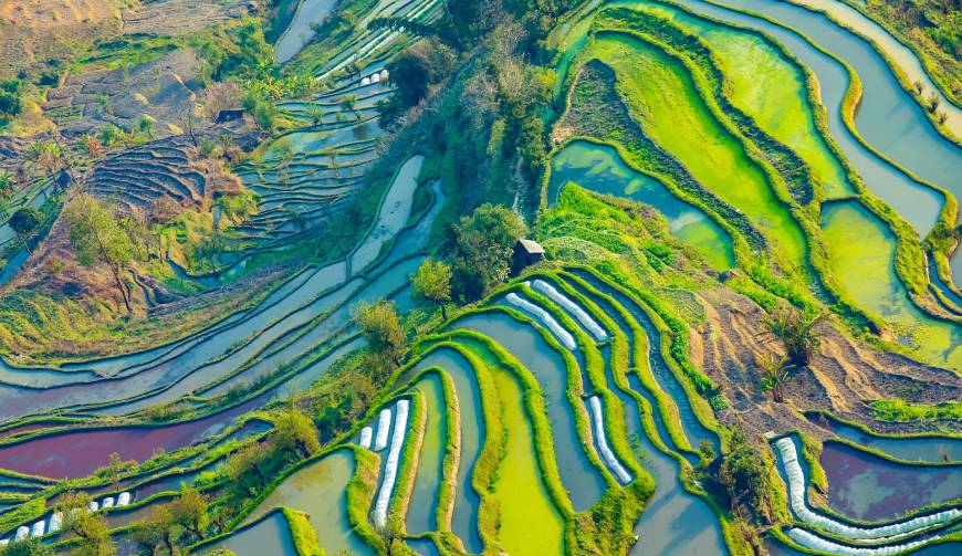 宝妈必备神器：茂名产品视频拍摄轻松育儿好帮手